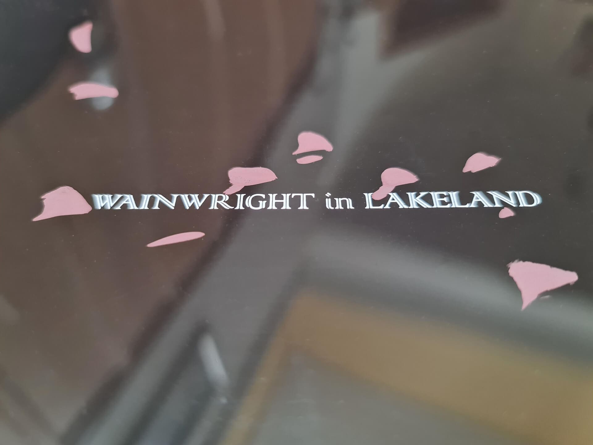 Wainwright in Lakeland Negatives