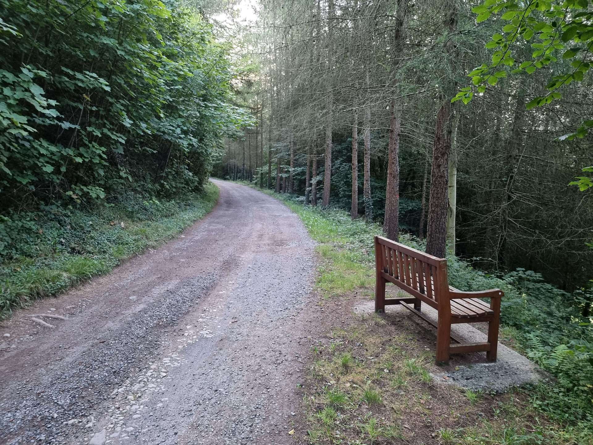 A Solitary Bench